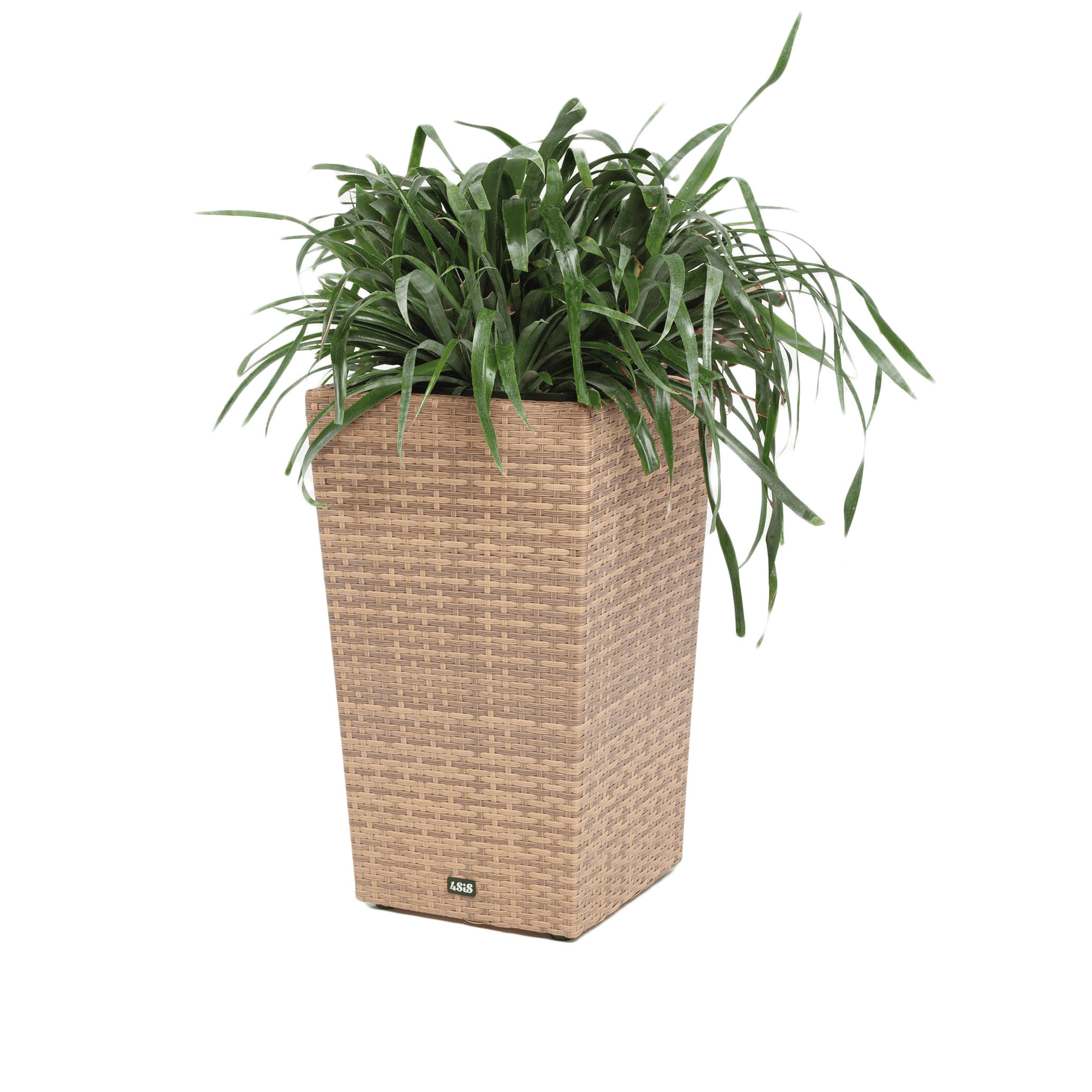 Кашпо Капучино